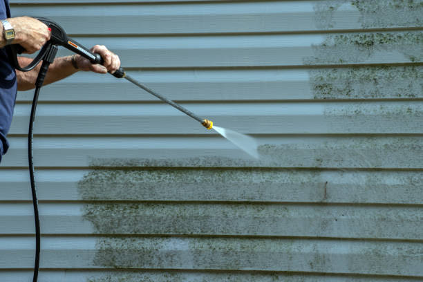 Best Deck Pressure Washing  in Hlside, IL
