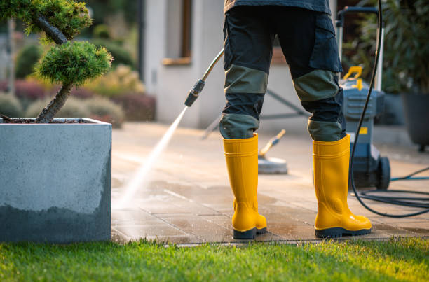 Best Power Washing Near Me  in Hlside, IL